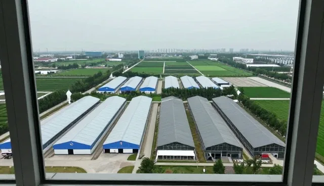 智能控制系统选型中的常见问题与应对策略